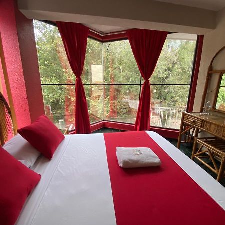 Hotel Alameda โอริซาบา ภายนอก รูปภาพ